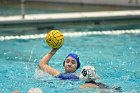 WWPolo vs CC  Wheaton College Women’s Water Polo compete in their sports inaugural match vs Connecticut College. - Photo By: KEITH NORDSTROM : Wheaton, water polo, inaugural